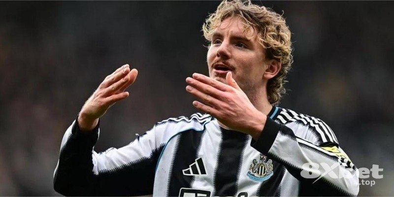 8xbet - tỷ lệ kèo world cup m88